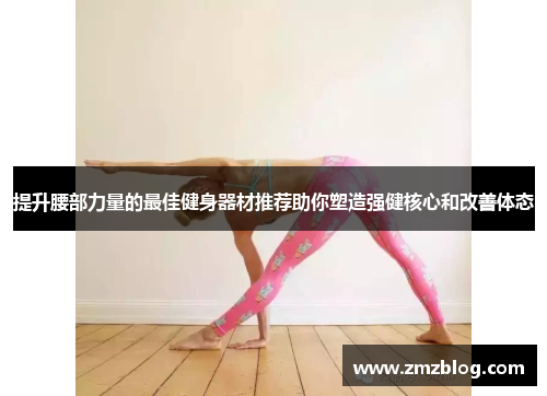 提升腰部力量的最佳健身器材推荐助你塑造强健核心和改善体态