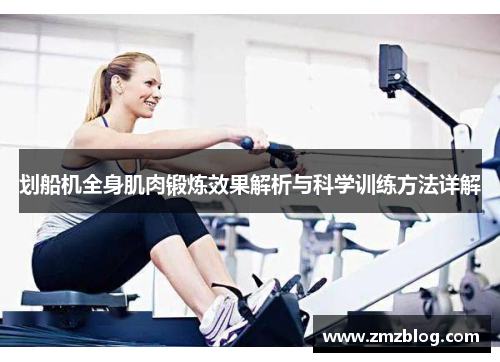划船机全身肌肉锻炼效果解析与科学训练方法详解