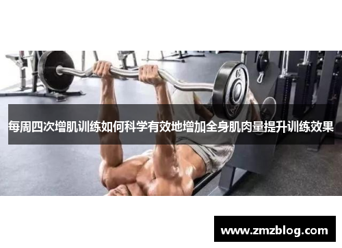 每周四次增肌训练如何科学有效地增加全身肌肉量提升训练效果